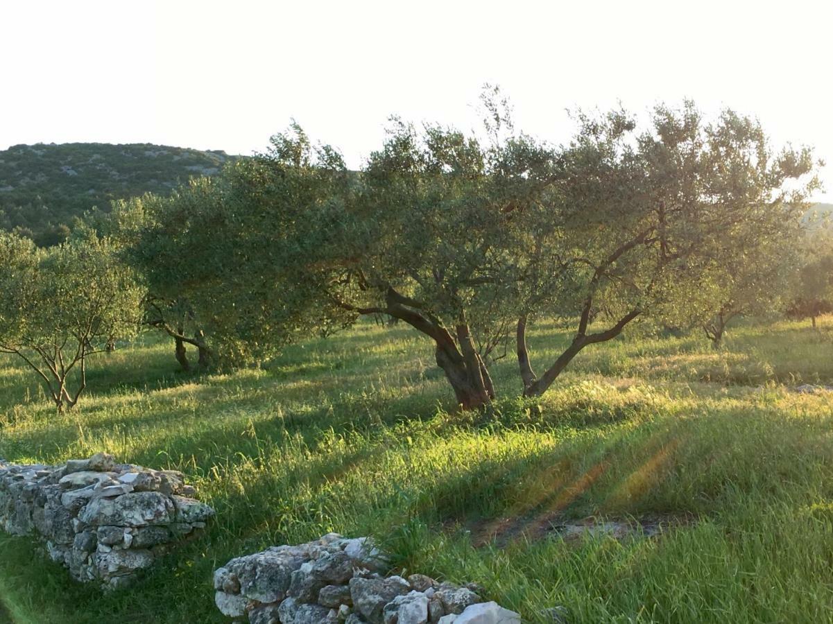 Lavanda Tribalj 외부 사진